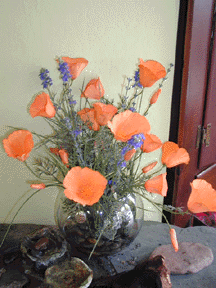 Orange California Poppy Arrangement