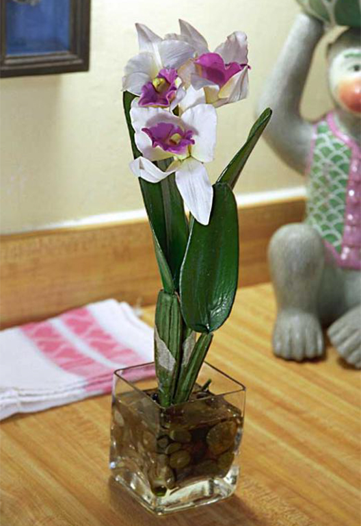 White and Purple Mini Cattleya Orchid