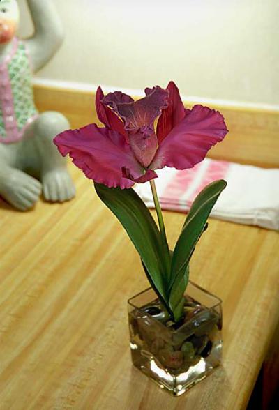 Single Cattleya Silk Orchid