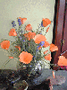 ca_poppies_in_bowl