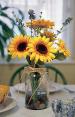 sunflower_jar-1.jpg