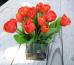 tulips-lg-cube-o-1.jpg